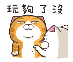 Lan Lan Cat Cute Mochi Dad GIF