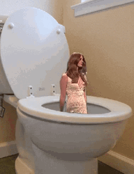 Lana Del Rey On A Toilet Bowl GIF