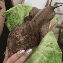 Land Snail Back Flex GIF