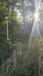 Land Surveying With Blinking Light GIF