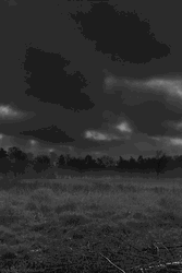Landscape Black White Timelapse