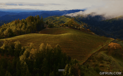 Landscape With Trees And Mountains GIF