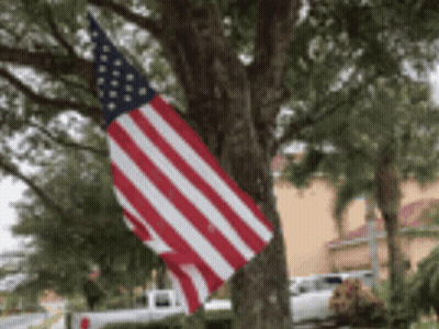 Large American Flag Hanging From Tree Branch GIF