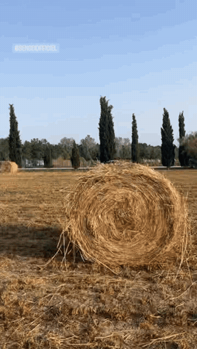 Large Bale Of Hay In Field GIF