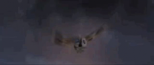 Large Bird Flying In The Dark GIF