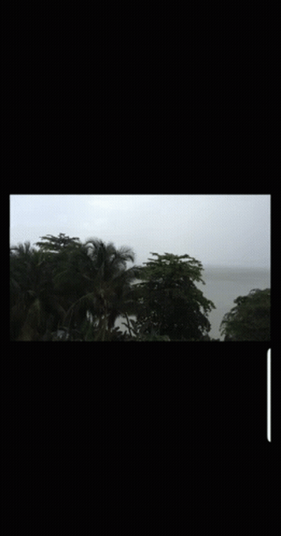 Large Body Of Water Surrounded By Palm Trees In The Rain GIF