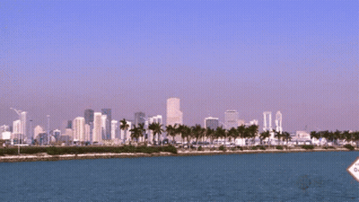 Large Body Of Water With Palm Trees And Buildings GIF