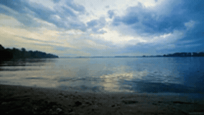 Large Body Of Water With Trees In Distance GIF