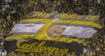 Large California Flag With Bear GIF