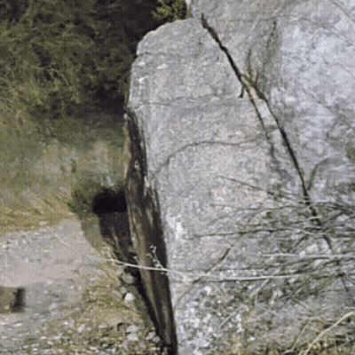 Large Cracked Rock Surrounded By Grass And Trees GIF