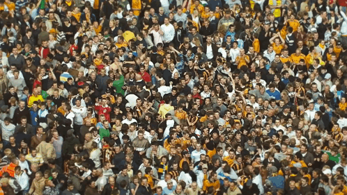 Large Crowd In Stadium With Yellow Jersey Number 8 GIF