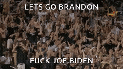 Large Crowd Standing In Stadium GIF