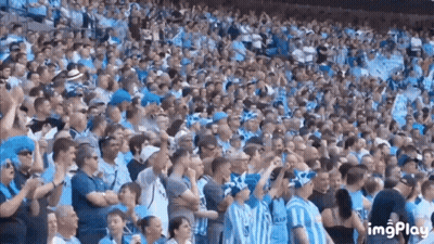 Large Crowd Watching Soccer Game GIF