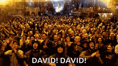Large Crowd With David David GIF