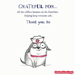 Large Eyes Dog Thankful For You GIF