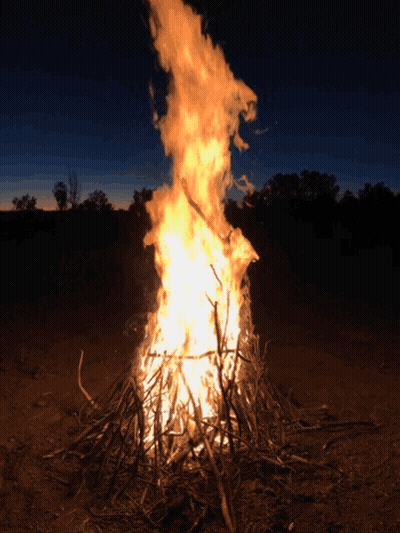 Large Fire Burning In Dark With Trees GIF