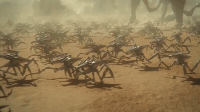Large Group Of Spiders Walking In Desert GIF