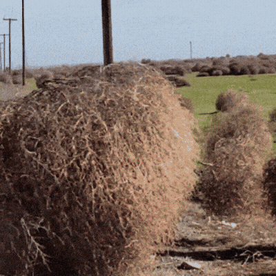 Large Hay Pile In Field GIF