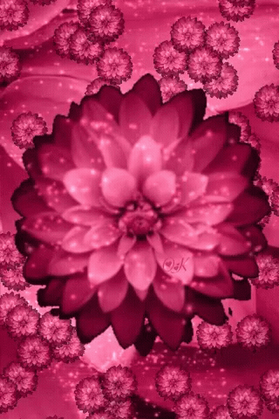 Large Pink Flower Surrounded By Smaller Flowers GIF