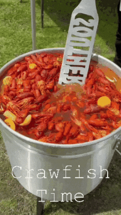 Large Pot Of Crawfish With Spatula Saying Crawfish GIF