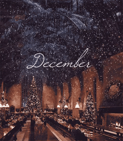 Large Room With Christmas Trees Saying December GIF