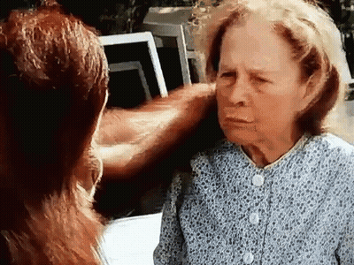 Large Screen Displays Drag Queen At ACL Festival GIF