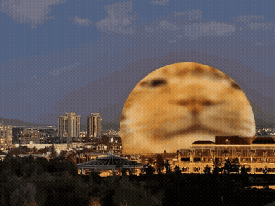 Large Spherical Face In City GIF
