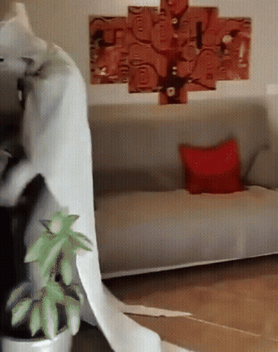 Large Toilet Paper Roll In Front Of Couch GIF