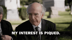 Larry David Interest Is Piqued