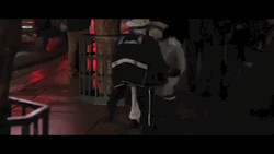 Las Vegas Entertainer GIF