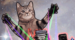 Laser Party Cat Dance GIF