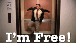 Last Day Of Work Andy Bernard I'm Free GIF