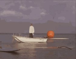 Last Shark We Gonna Need A Bigger Boat GIF