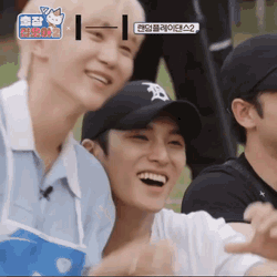 Lattegyu Mingyu GIF