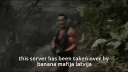 Latvia Mafia Server  GIF