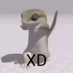 Laugh Out Loud Dancing Lizard GIF