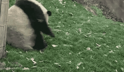 Laughing Crying Smiley Too Funny GIF