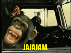 Laughing Monkey Driving Car Jajajaja Meme
