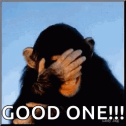 Laughing Monkey Good One GIF