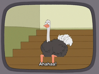 Laughing Ostrich Sitting On Staircase GIF