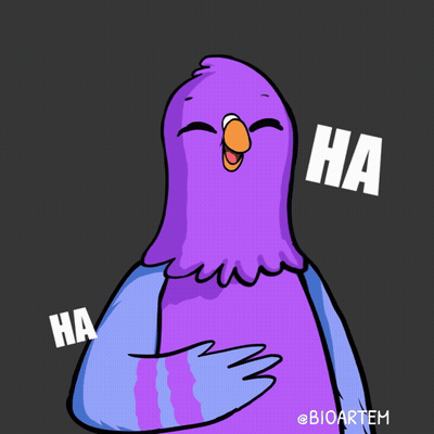 Laughing Pigeon Saying Ha Ha Ha GIF