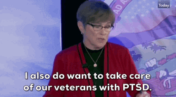 Laura Kelly Veterans With Ptsd GIF