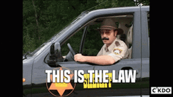 Law GIF