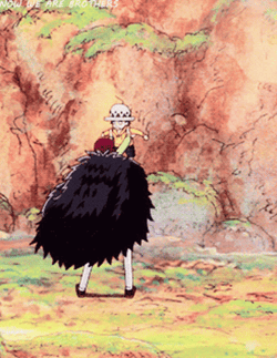 Law And Corazon One Piece GIF