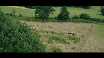 Lawn Mower GIF