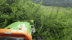 Lawn Mower The Green Climber LV800  GIF