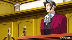 Lawyer GIF
