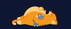 Lazy Cat Nap GIF