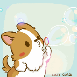 Lazy Corgi Bubble Time  GIF