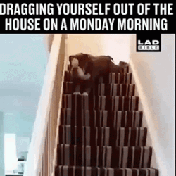 Lazy Dog Getting Downstairs Funny Monday Be Like GIF
